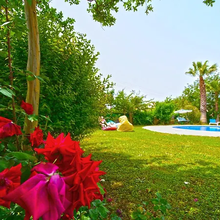 Elma Villa